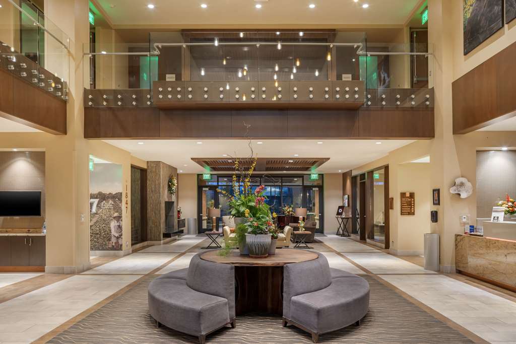 Lobby / Reception