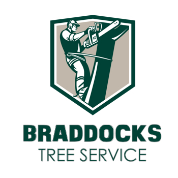 Braddocks Tree Service