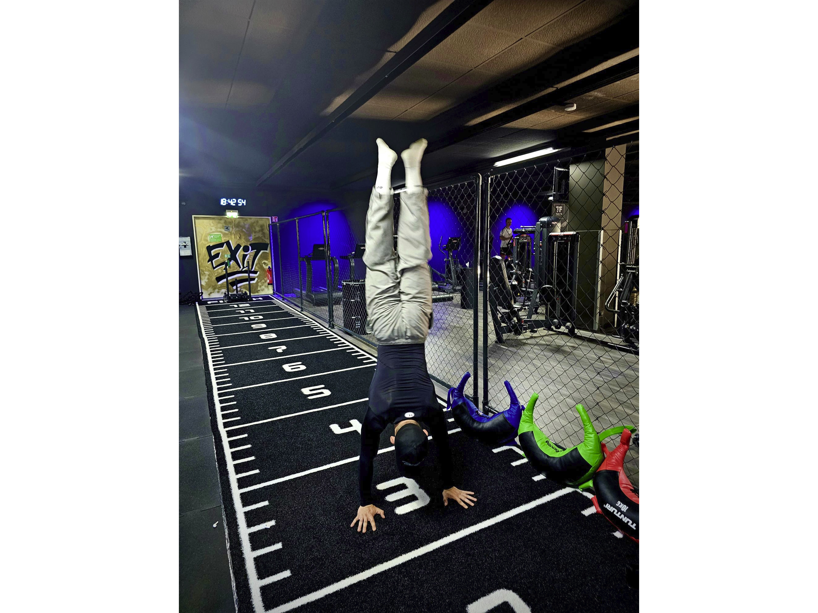 Taifun Fitness in Bergen auf Rügen - Logo