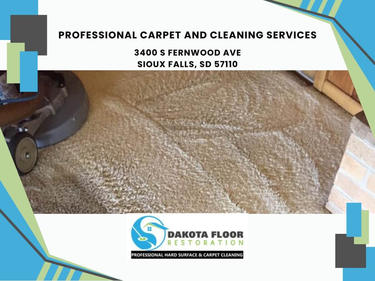 professional carpet and cleaning services