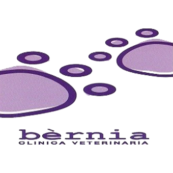Clínica Veterinaria Bèrnia Logo