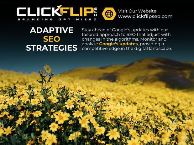 Images Clickflip SEO