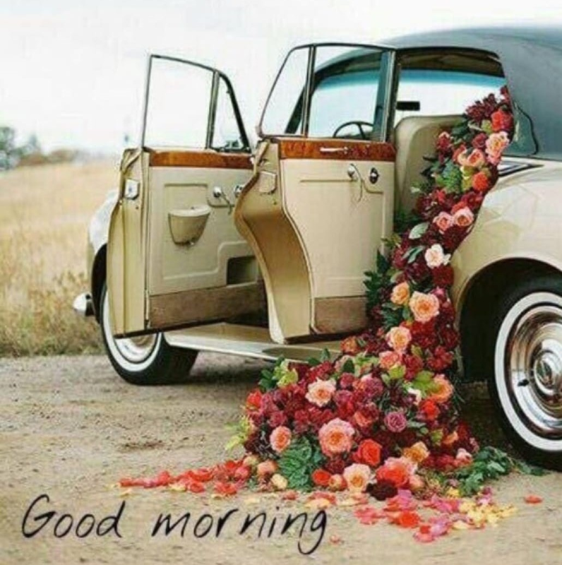 Images Agenzia Funebre Antonio Melis