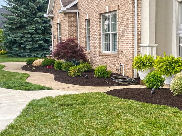 Images Superior Service Lawn Care