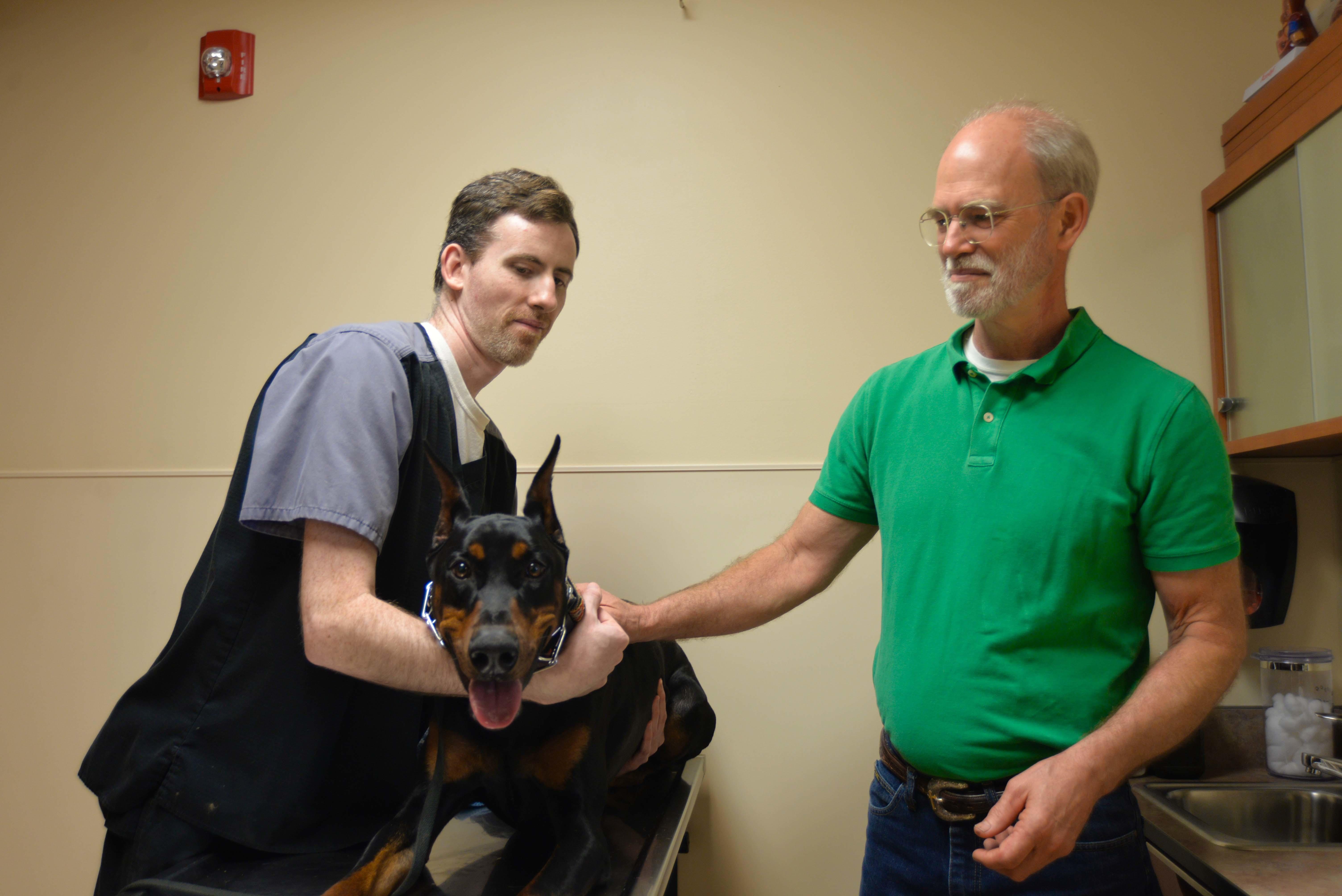 With the help of a veterinary technician, Dr. Chris Johnson begins an annual wellness exam. Archer Veterinary Clinic Lemont (630)257-5121