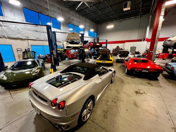 Images Loudoun County Exotics