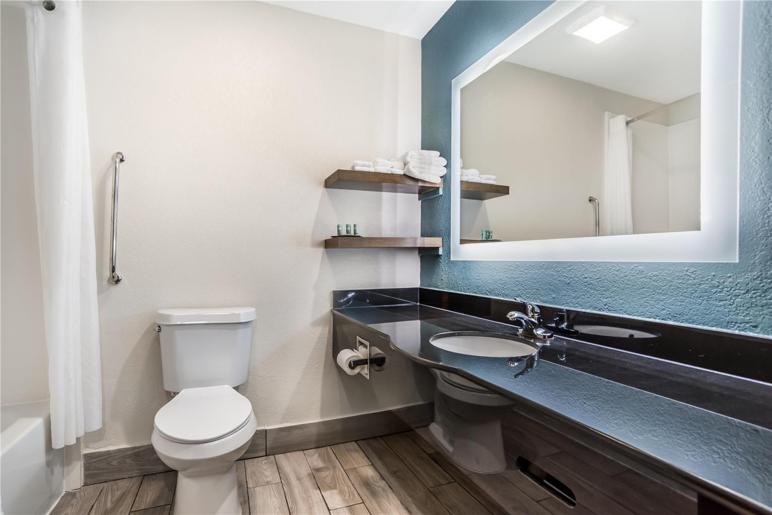 One King Bedroom Suite - Bathroom