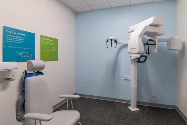 Images My Kid’s Dentist and Orthodontics