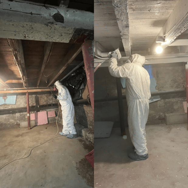 Images Quality Mold Remediation LLC