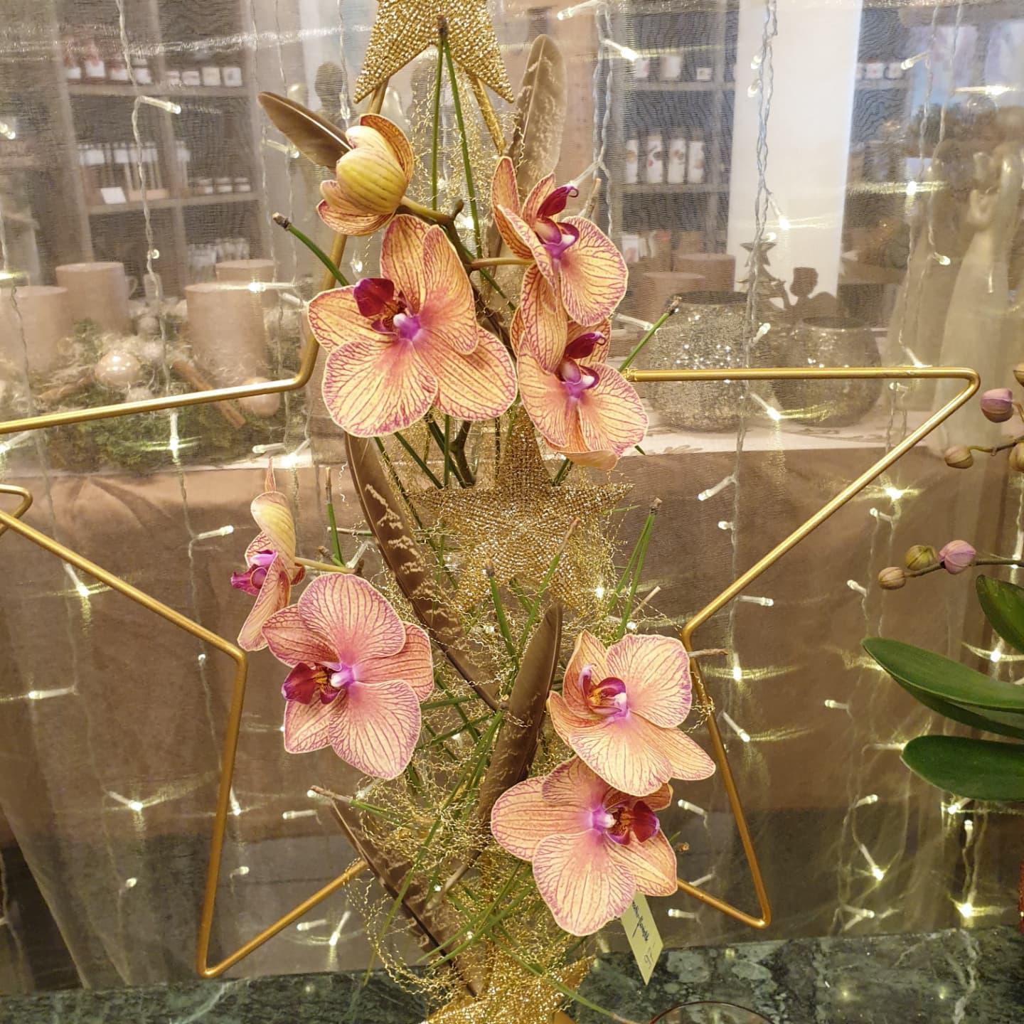 Creativ Floristik Blumen & Café, Davidstrasse 18 in St. Gallen