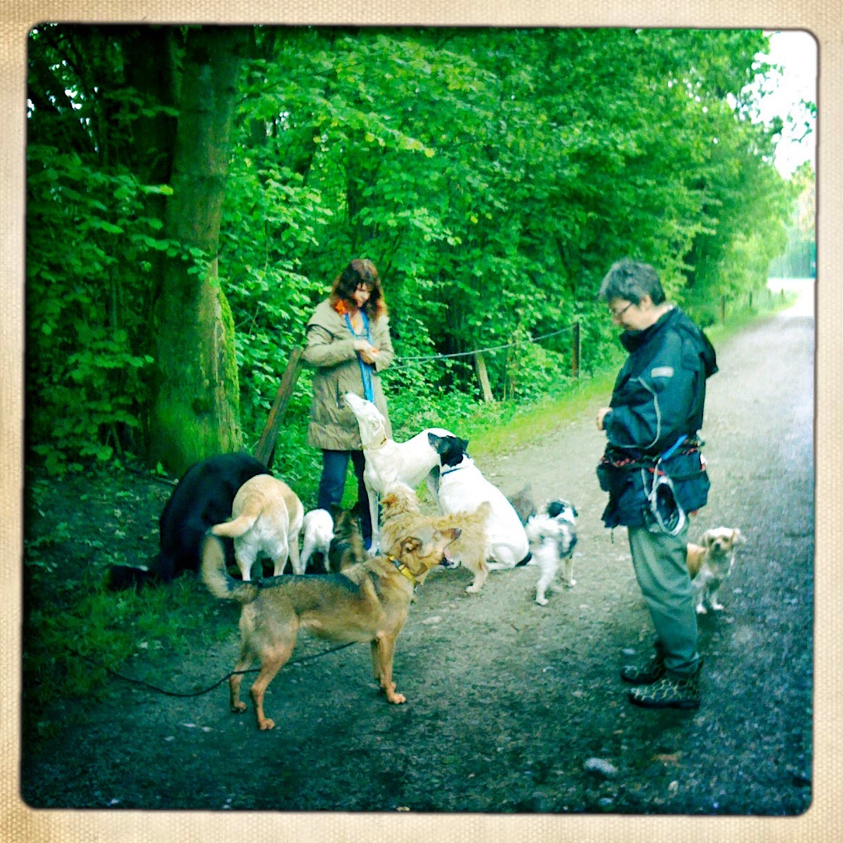 Hundegarten Bellina, Untere Landstrasse 5 in Wildberg