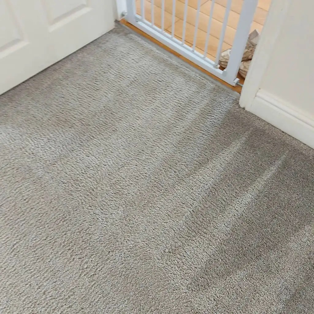 Images Titanium Cleaning