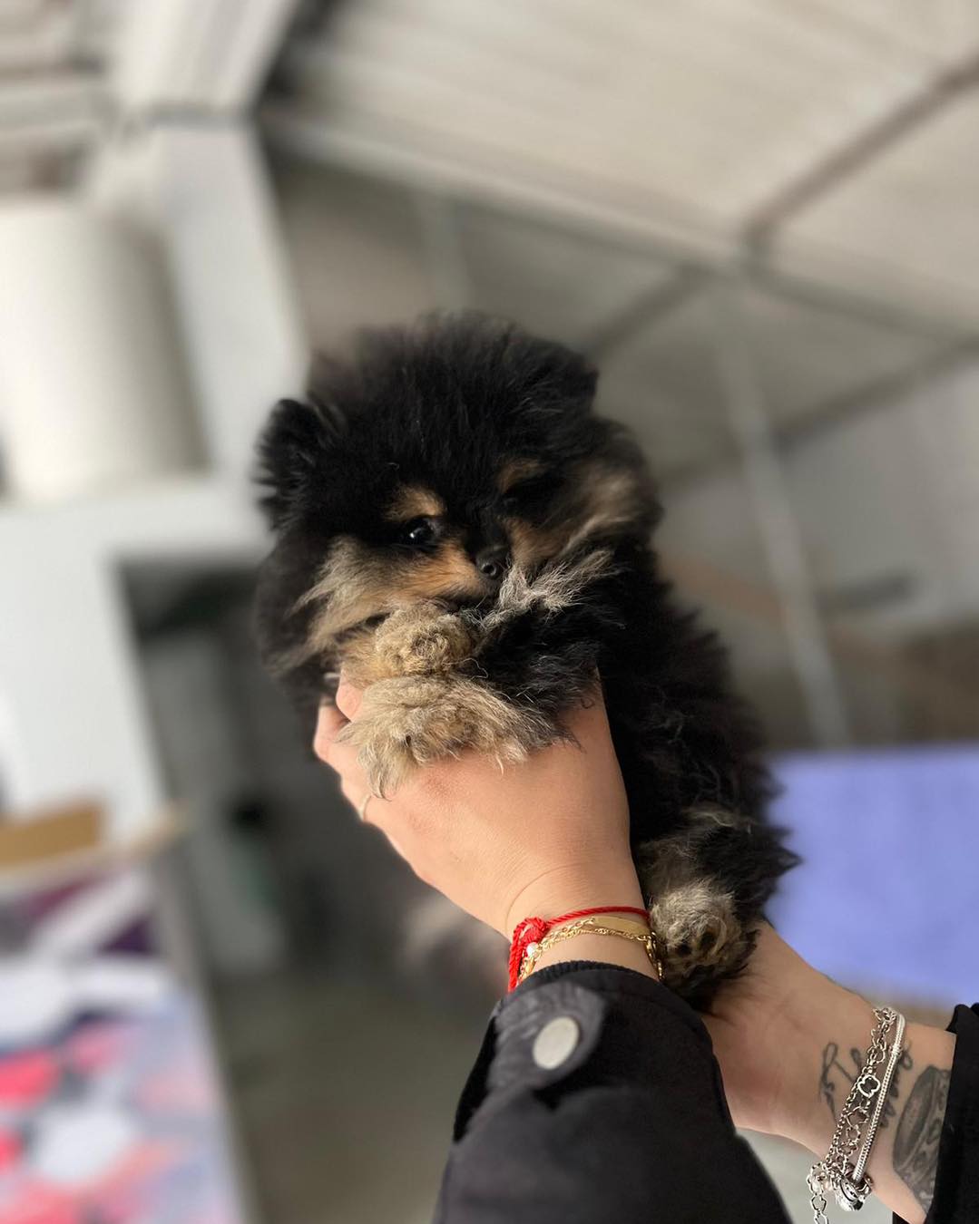 Images Olimpo De Zeus