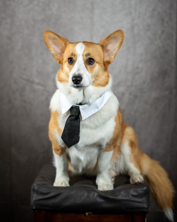 Images JASON GILBERT: Allstate Insurance