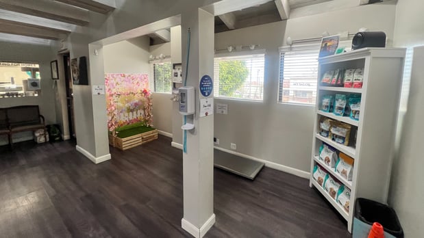 Images VCA Coast Animal Hospital