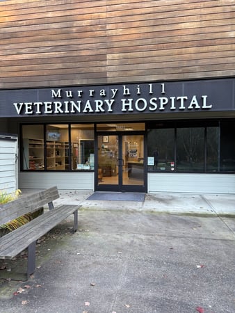 Images VCA Murrayhill Veterinary Hospital