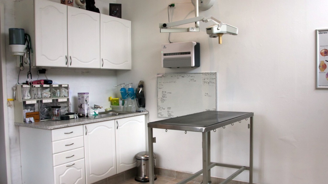 Images Sorana Dyreklinik & Kattepension