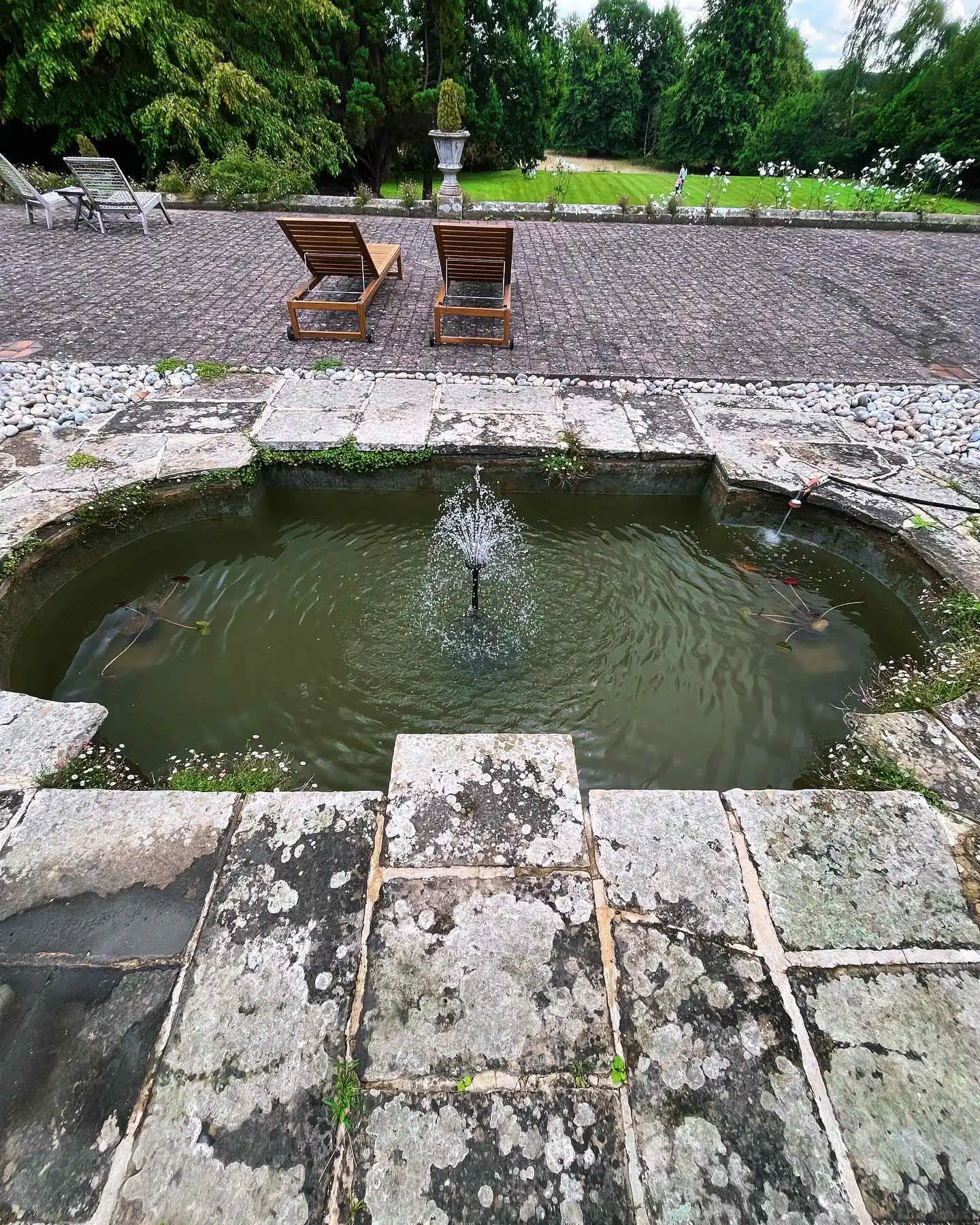 Images SJH Ponds & Aquariums