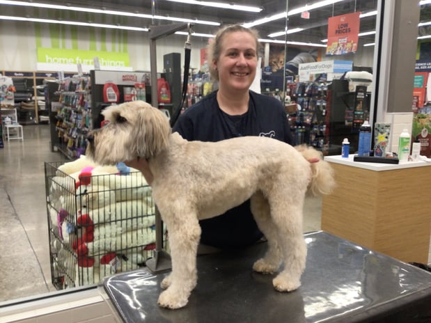 Images Petco Grooming