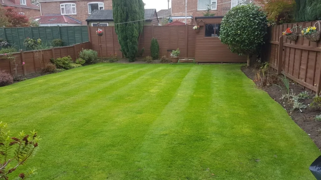 Images P Raitt Garden Maintenance