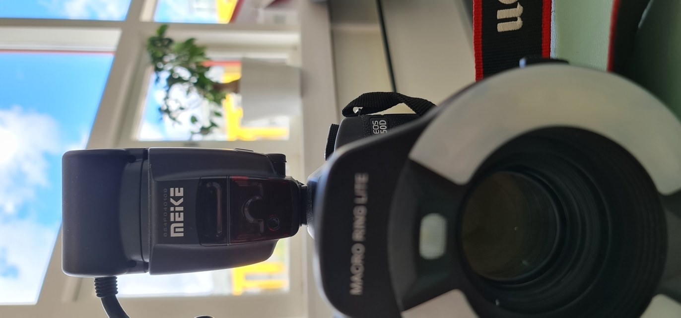 Images Nannestad Tannlegesenter