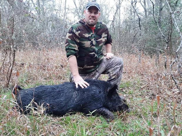 Images Arrowhead Outfitters Hogs LLC