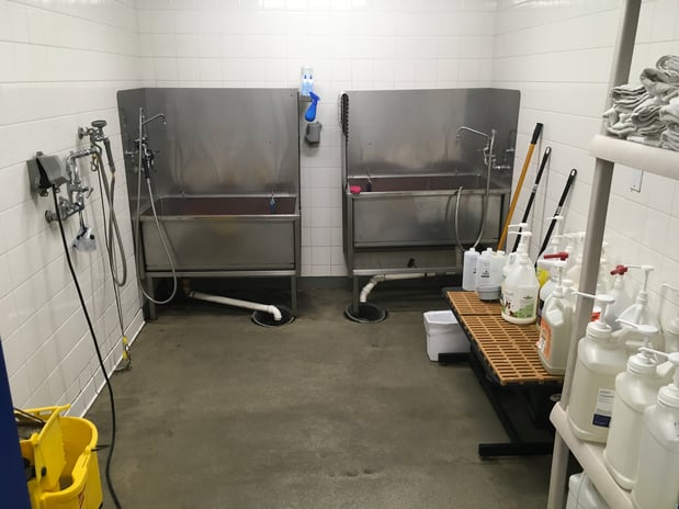 Images Petco Grooming