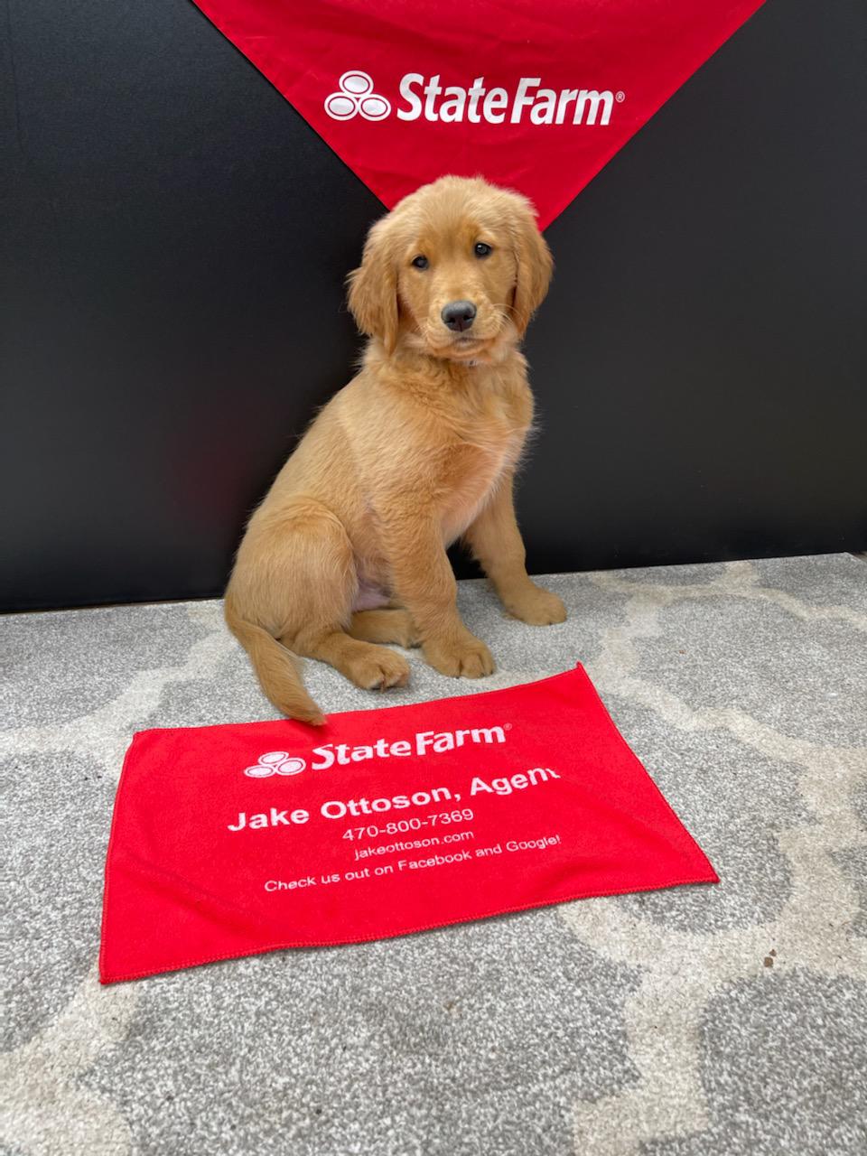 Jake Ottoson - State Farm Insurance Agent