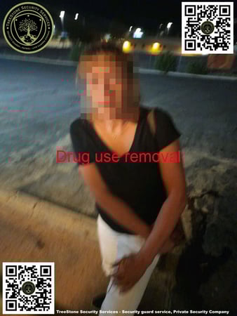 Images TreeStone Security Services