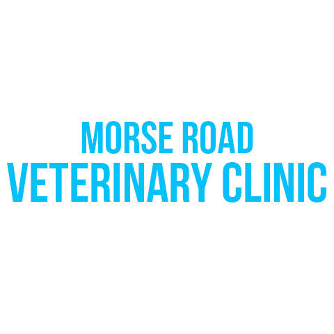 Morse Road Veterinary Clinic Logo