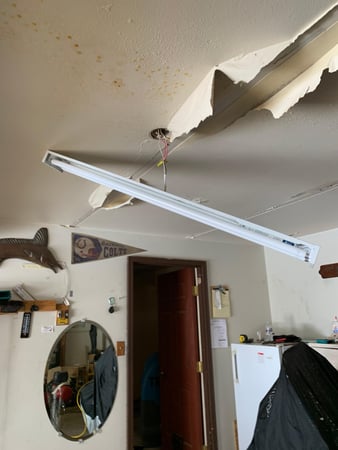 Images Rex Environmental