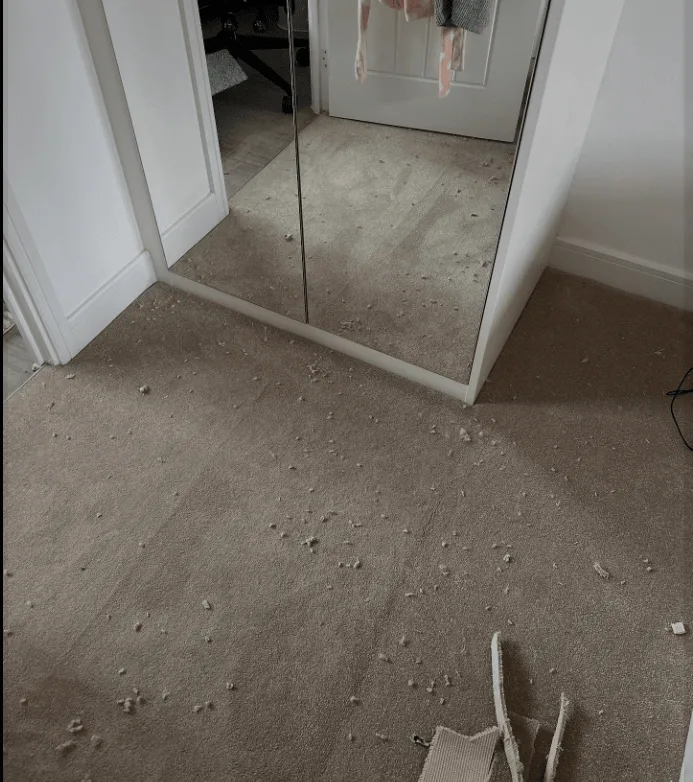 Images Special Ops Flooring