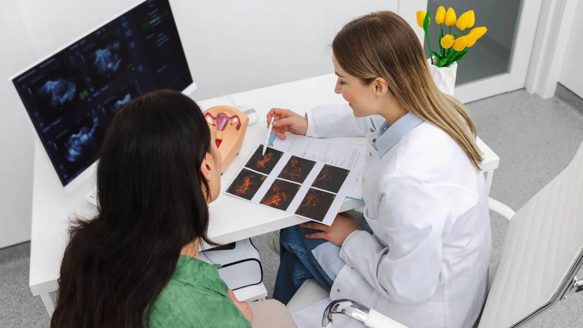 Images Dra. Irma Paulina Barroso Meza