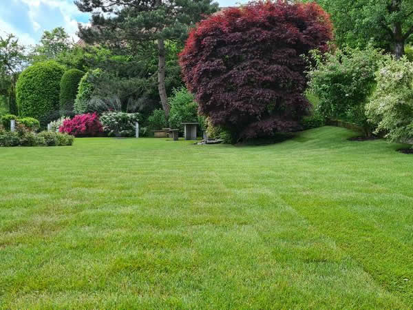 Bilder BRÜHWILER-GARTENBAU, BAUMPFLEGE