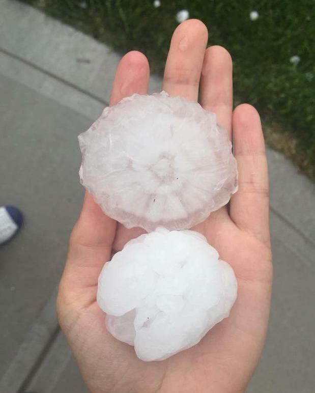 Images LoveOurRoof, an Xcel Company