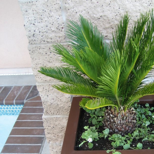 Images All Seasons Gardening & Landscaping