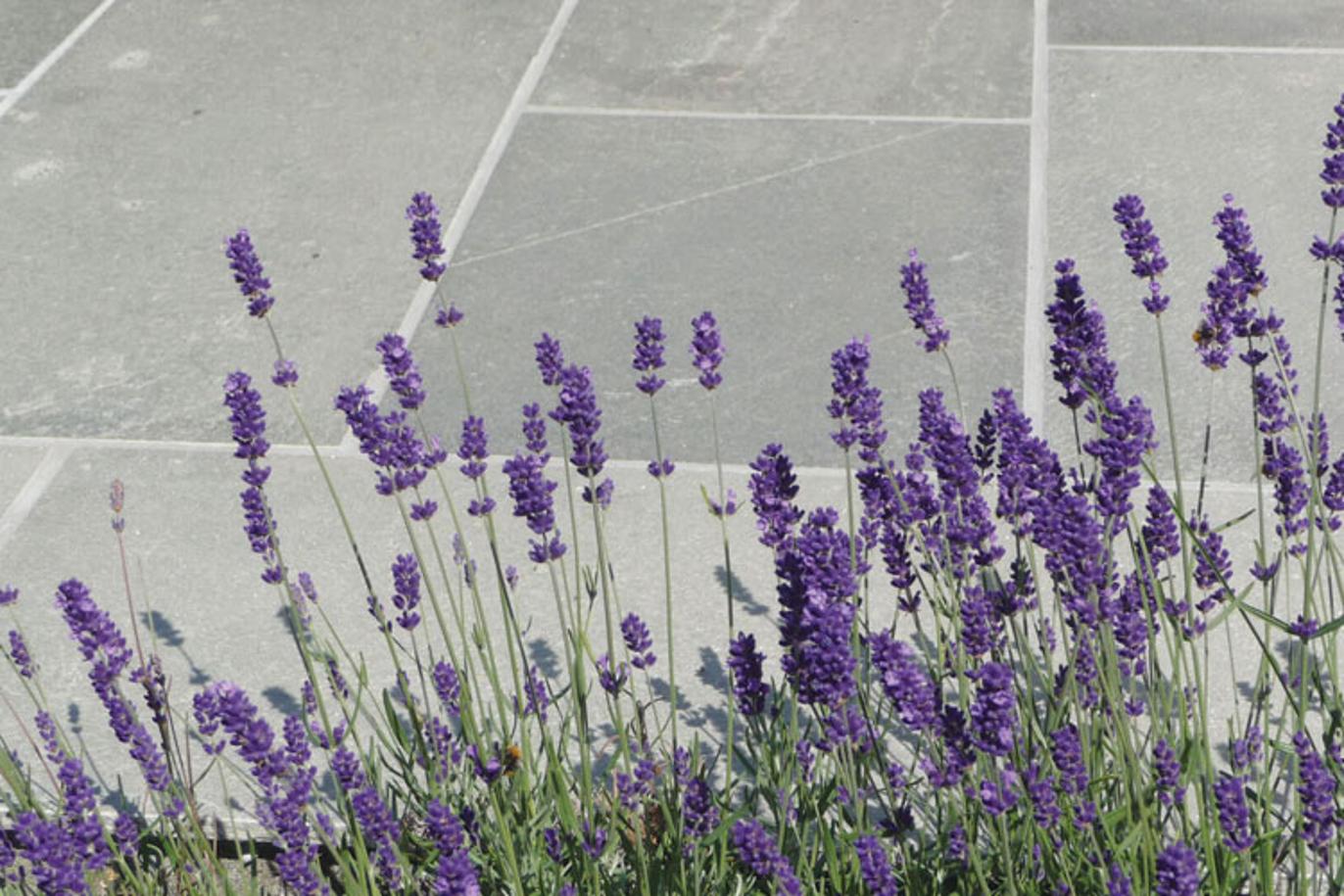 Images Fevik Steinindustri A/S