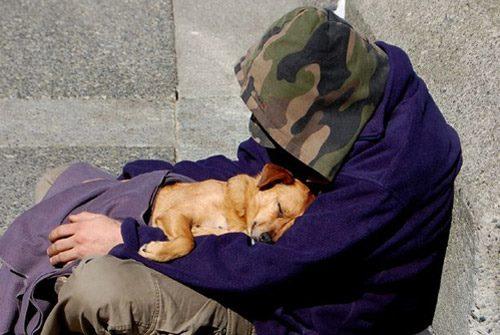 Image of Local Pet Event Helping Our Local Homeless Residents with Pets this Winter Nearby