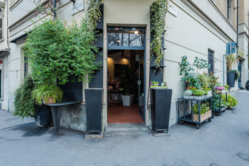 Images Nasone Fiori  Asinari Luigi