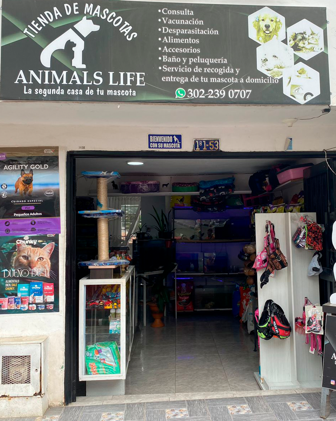 Galería en miniatura