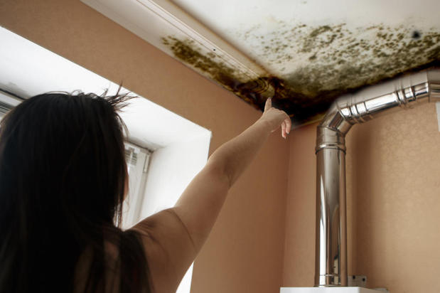Images First Response Restoration, Water Damage Minneapolis Specialist