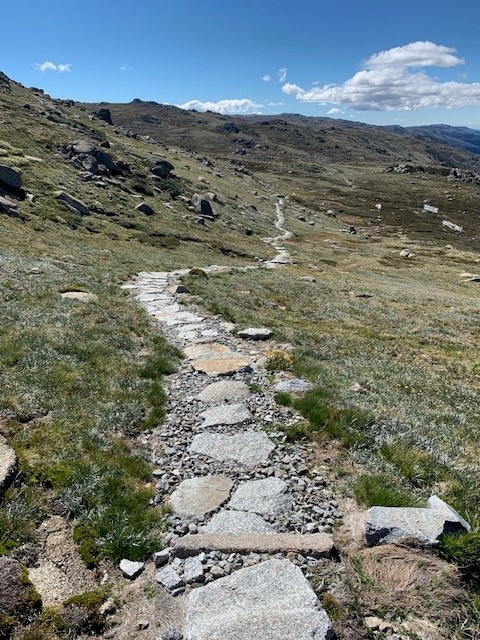 Images Jindabyne Landscaping