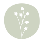 Aroma Smiles Dental Logo