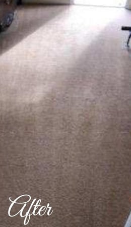 Images East Coast Carpet Care, Inc