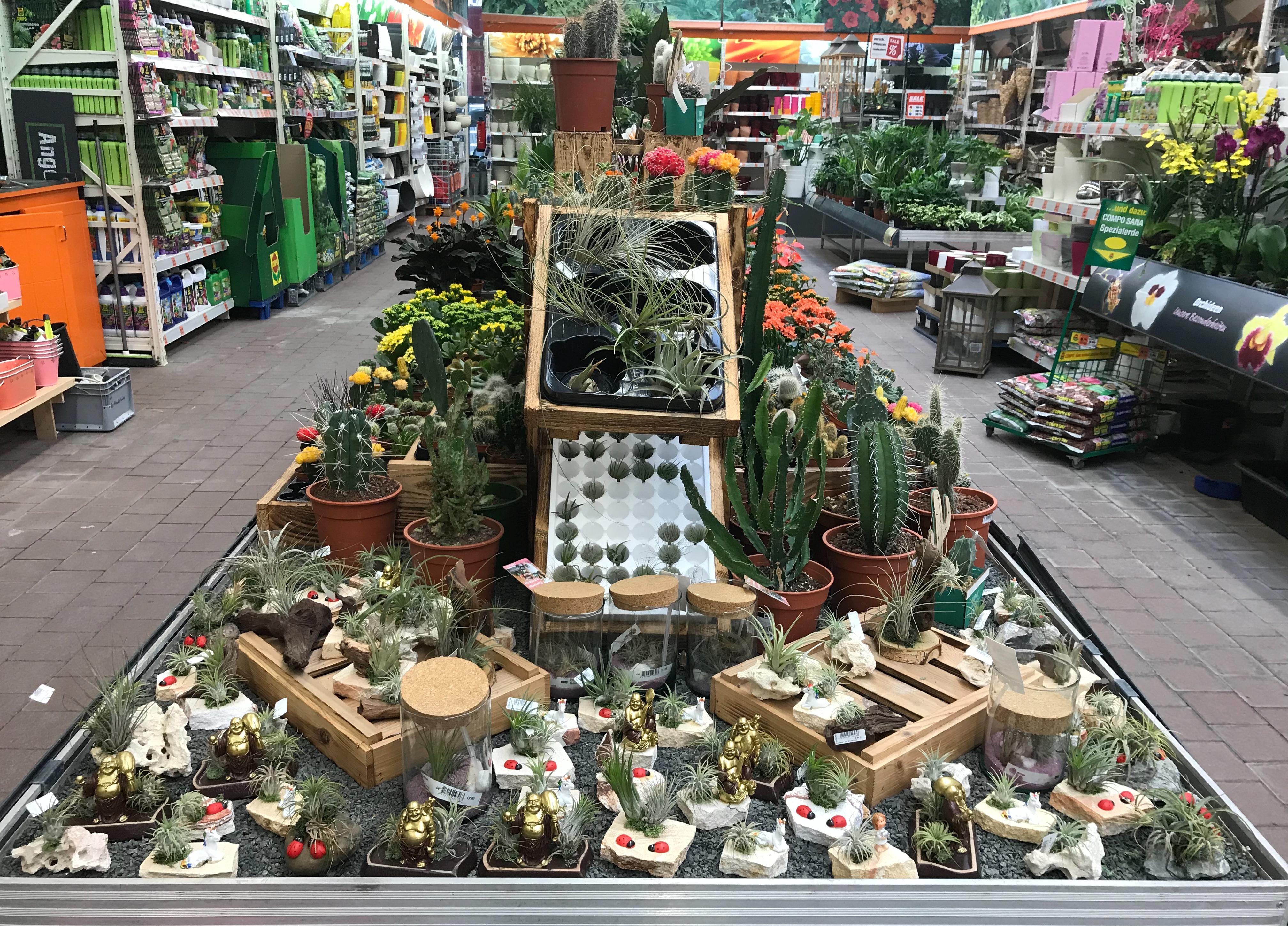 OBI Markt Rudolstadt Baustoffe in Rudolstadt Am Spielborn 2