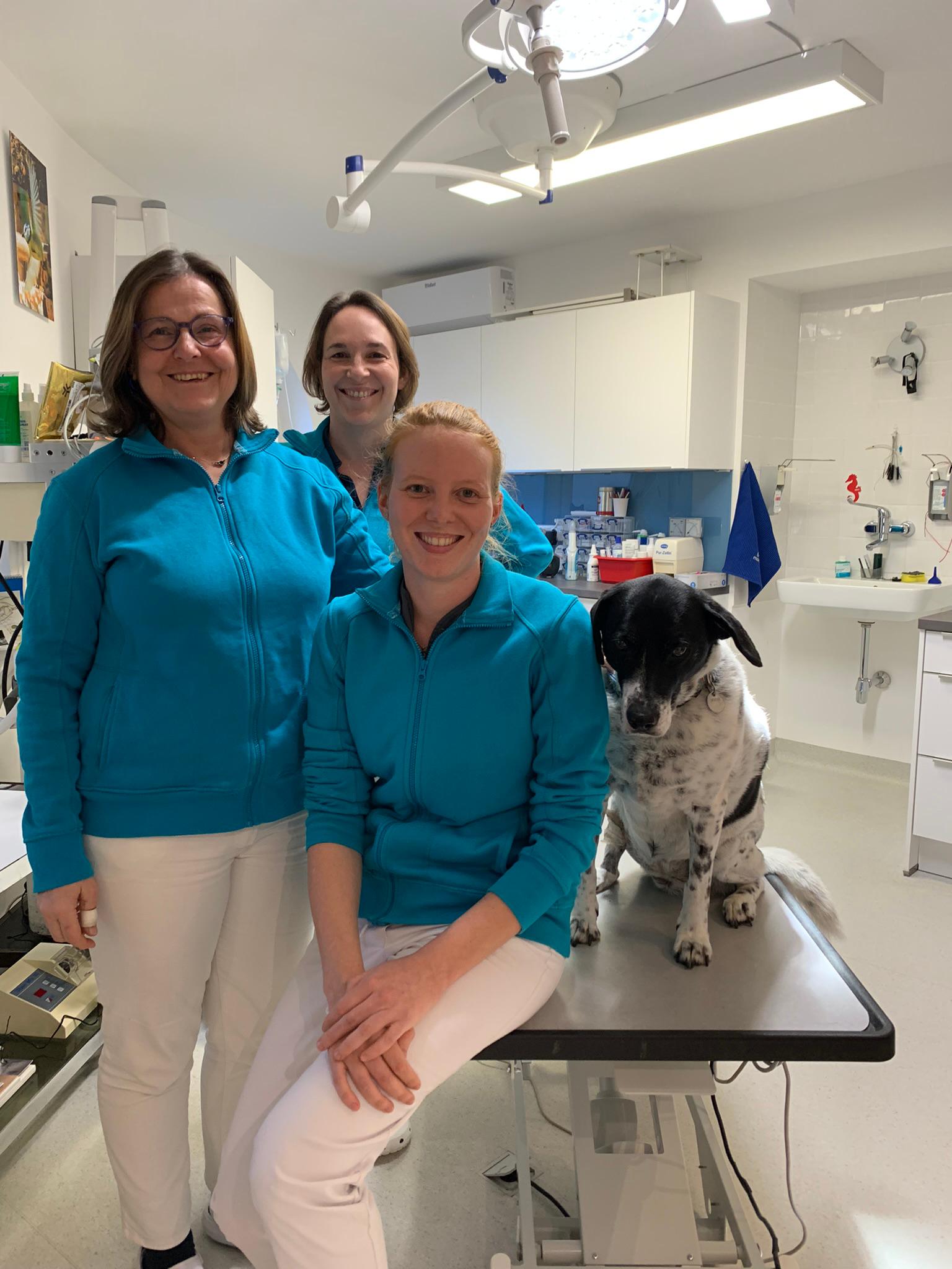 Bilder Tierarztpraxis u. Dentalzentrum Alland Dr Nicole Grünwald