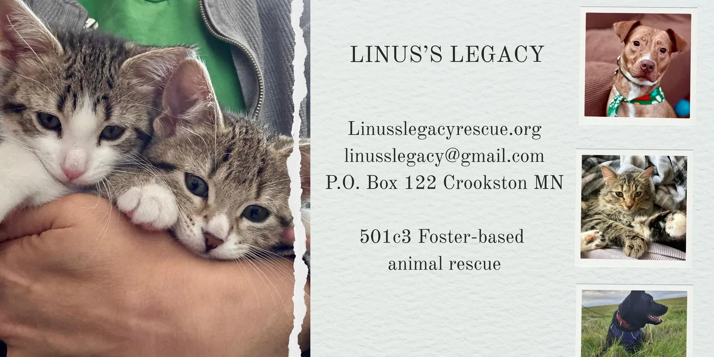 Image of Local Pet Event Meet & Greet w/ Linus's Legacy Nearby