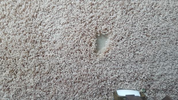 Images Carpet RX of Louisville