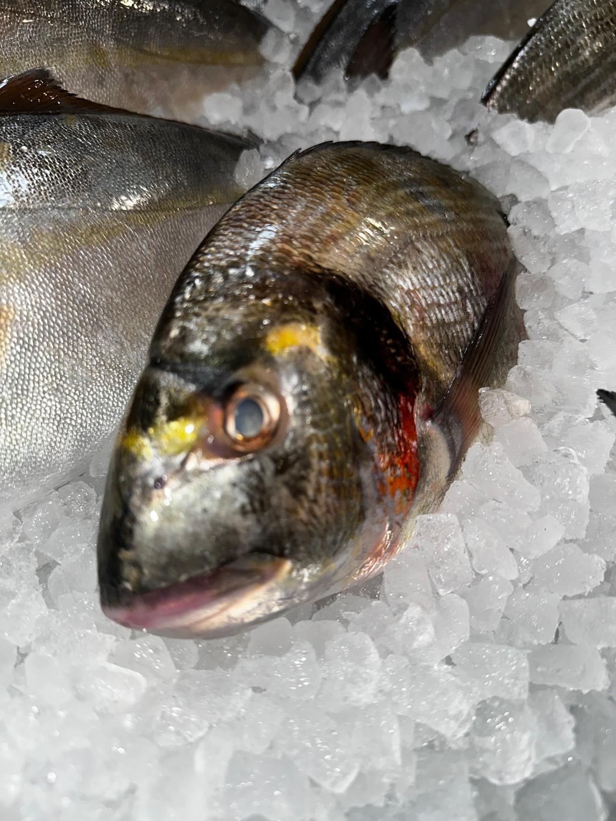 Images Peixateria de la Iaia Antònia