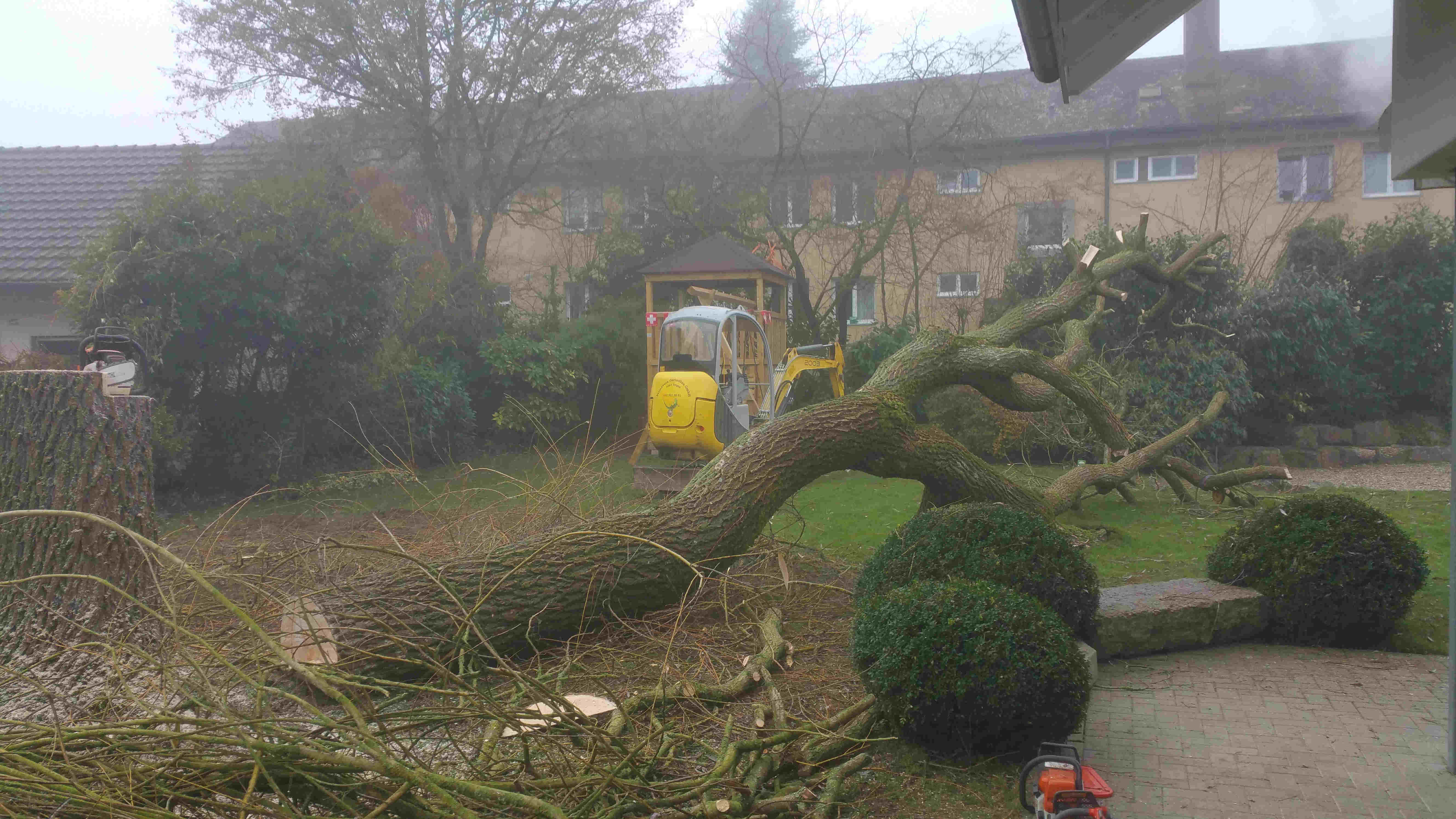 Primavera Gartenbau GmbH, Papiermühlestrasse 159 in Ittigen